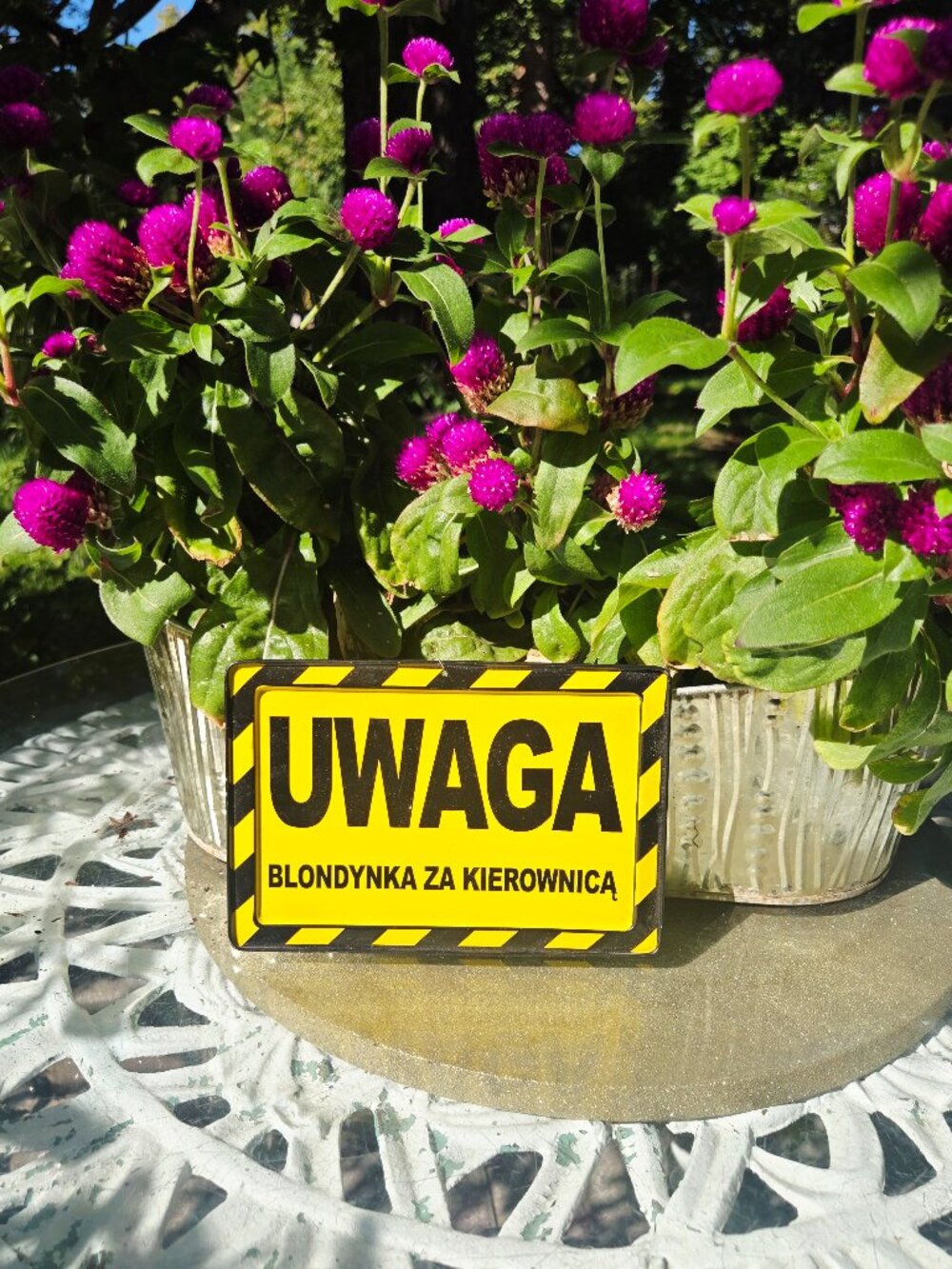 Funny Polish Car Sign UWAGA BLONDYNKA ZA KIEROWNICĄ Caution Blonde Driving Gag G